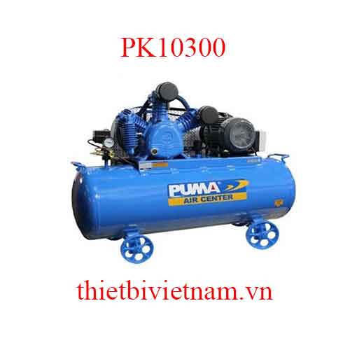 Máy nén khí 1 cấp Puma PK10300 - 10HP, 8 bar, 304L, 380V