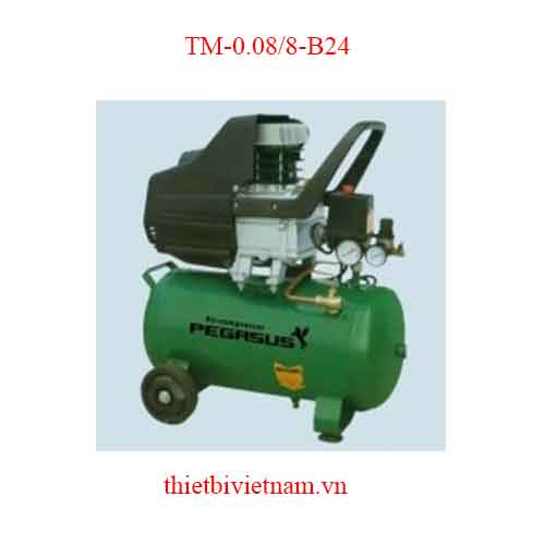 Máy nén khí đầu liền PEGASUS TM-0.08/8-B24