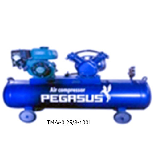 MÁY  NÉN KHÍ ĐẦU NỔ CHẠY BẰNG XĂNG TM-V-0.25/8-100L
