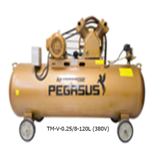 MÁY NÉN KHÍ DÂY ĐAI PEGASUS TM-V-0.25/8-120L (380V)