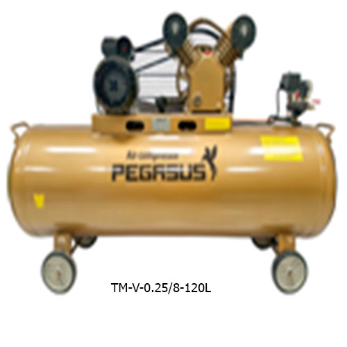 MÁY NÉN KHÍ DÂY ĐAI PEGASUS TM-V-0.25/8-120L