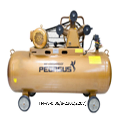MÁY  NÉN KHÍ DÂY ĐAI  PEGASUS TM-W-0.36/8-230L(220V)