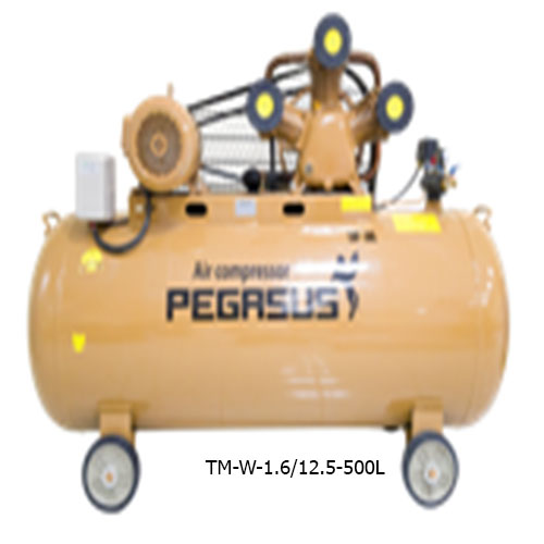 MÁY  NÉN KHÍ DÂY ĐAI  PEGASUS TM-W-1.6/12.5-500L