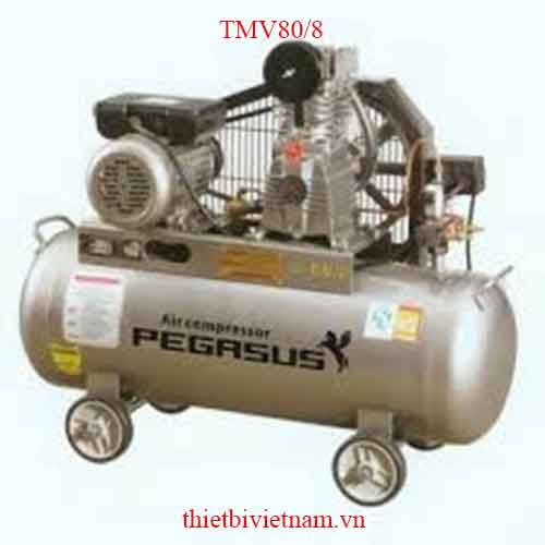 Máy nén khí một cấp PEGASUS TMV80/8