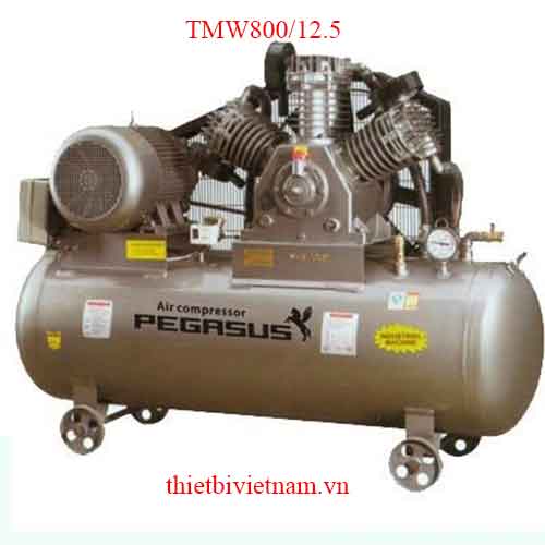 Máy nén khí một cấp PEGASUS TMW800/12.5