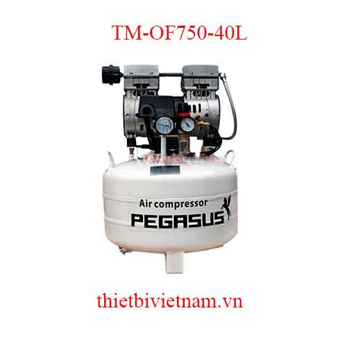 Máy nén khí nha khoa không dầu hãng Pegasus 1HP, 40L, 220v TM-OF750-40L