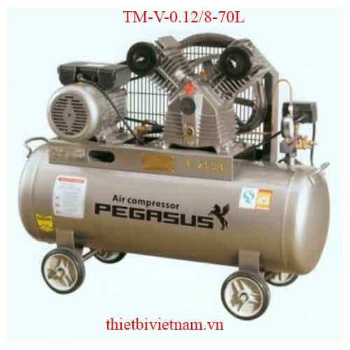 Máy nén khí Pegasus TM-V-0.12/8-70L