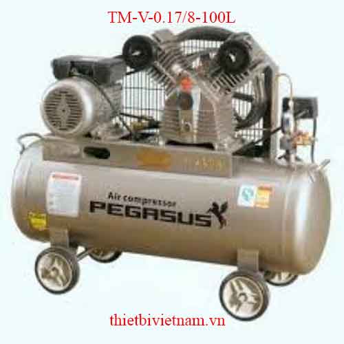 Máy nén khí Pegasus TM-V-0.17/8-100L