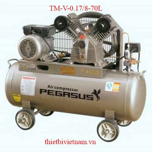 Máy nén khí Pegasus TM-V-0.17/8-70L