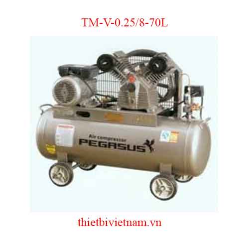 Máy nén khí Pegasus TM-V-0.25/8-70L