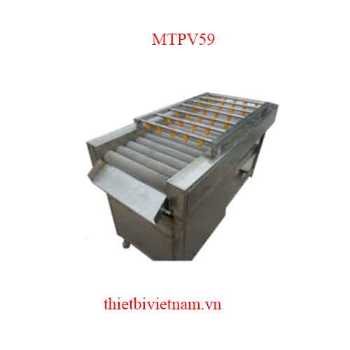 Máy rửa bưởi, chanh, dưa hấu kiểu con lăn bàn chải MTPV59
