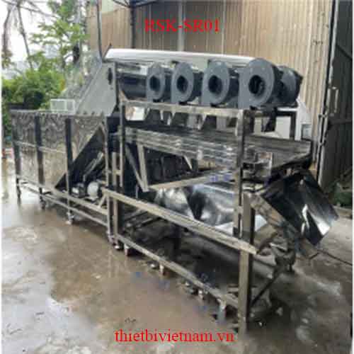 Máy rửa hạt macca, hạt điều và sàng rung thổi ráo công nghiệp RSK-SR01