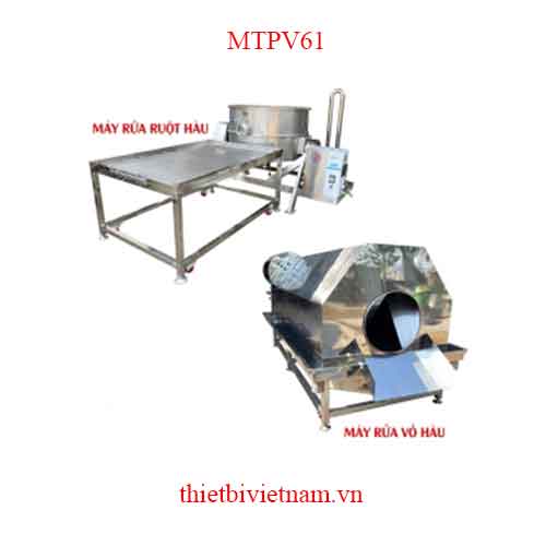 Máy rửa hàu cho vỏ và ruột, năng suất lớn, công nghệ tiên tiến MTPV61