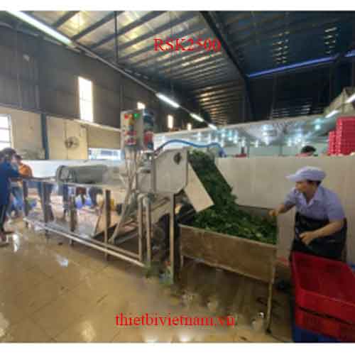 Máy rửa rau công nghiệp thổi khí khuấy động, sục ozone khử khuẩn RSK2500