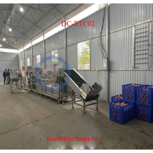 Máy rửa trái cây như cam, xoài, thanh long, chanh dây năng suất lớn DC-RTC02