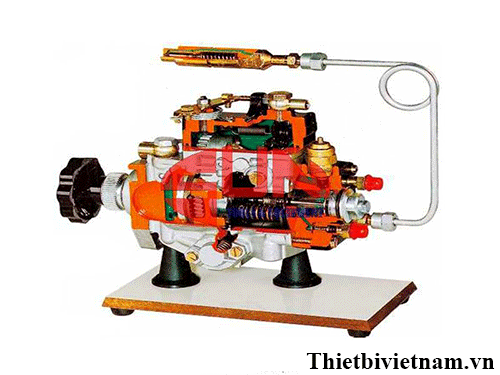 Mô hình bơm cao áp VE cắt bổ