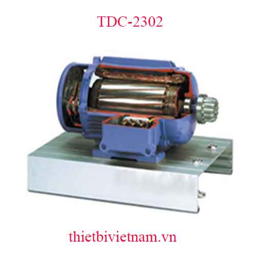 MÔ HÌNH CẮT BỔ ĐỘNG CƠ ĐIỆN 3 PHA MODEL TDC-2302