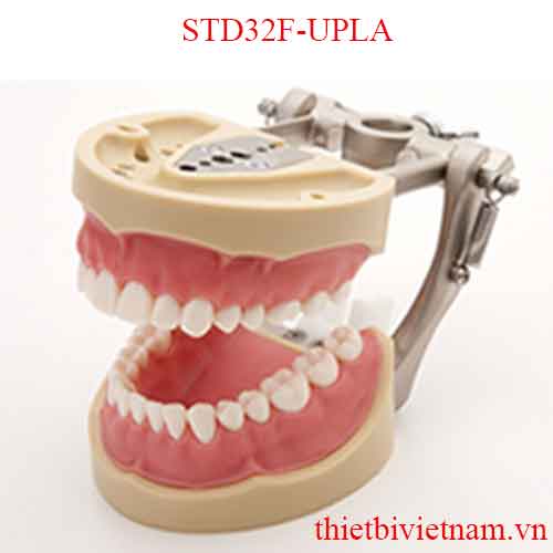 MÔ HÌNH RĂNG HÀM MẶT STD32F-UPLA