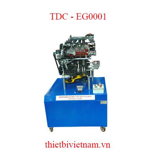 MÔ HÌNH THỰC HÀNH ĐỘNG CƠ PHUN XĂNG ĐIỆN TỬ - ĐA ĐIỂM, 4 XYLANH - CẮT BỔ MODEL TDC - EG0001