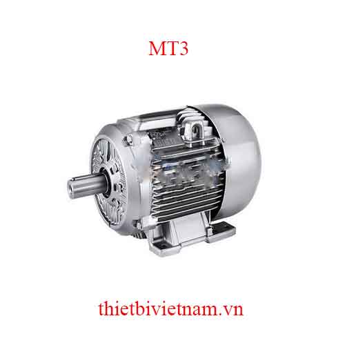 Motor cho máy rửa xe áp lực cao 3KW MT3