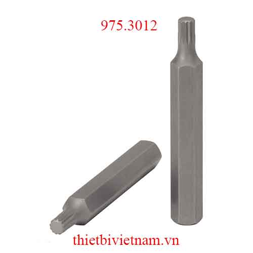 Mũi vít răng cưa spline 10mm-M12 model 975.3012 KS Tools