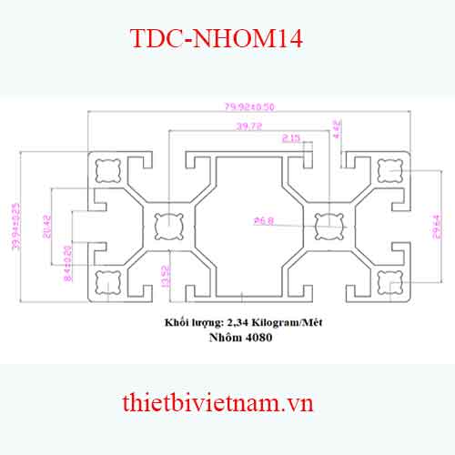 NHÔM ĐỊNH HÌNH 40X80 MODEL TDC-NHOM14