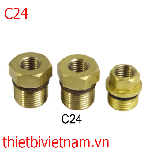 Ốc bắt chân đồng hồ C24