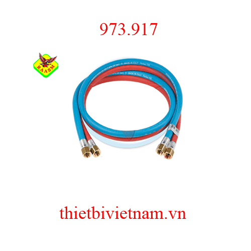 Ống dẫn cuộn dây hàn Raasm 20 bar Model 973.917