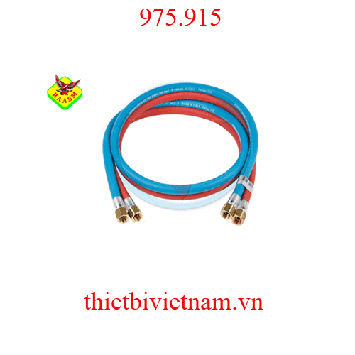 Ống dẫn cuộn dây hàn Raasm 20 bar Model 975.915