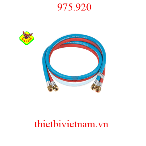 Ống dẫn cuộn dây hàn Raasm 20 bar Model 975.920