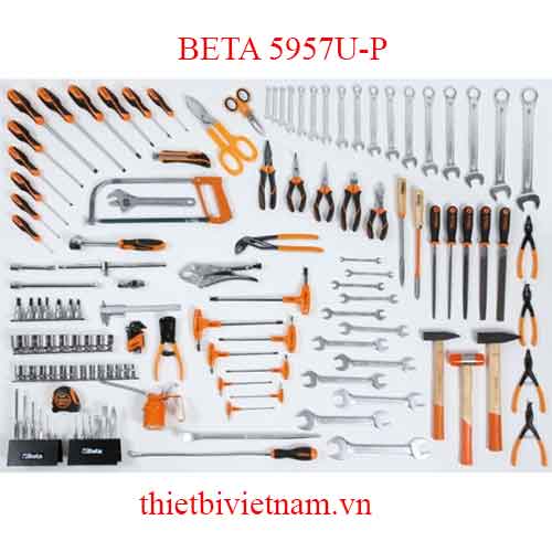P-133 TOOLS FOR UNIVERSAL USE BETA MODEL 5957U-P