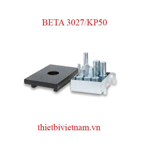 PIN PUNCHES AND PLATE FOR 3027 BETA MODEL 3027/KP50