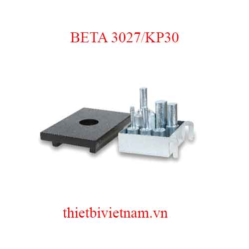 PIN PUNCHES & PLATE FOR 3027 BETA MODEL 3027/KP30