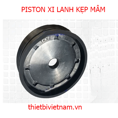 PISTON XI LANH KẸP MÂM hãng ROTALY 