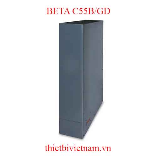 PLAIN RIGHT LEG BETA MODEL C55B/GD