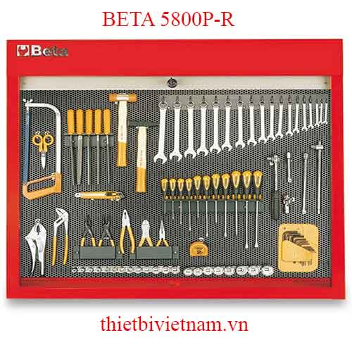 R-PANEL C58 P/R + 86 PCS BETA MODEL 5800P-R