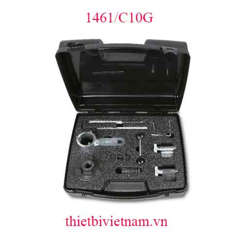 TIMING DEVICES FOR ENGINES BETA MODEL 1461/C10G