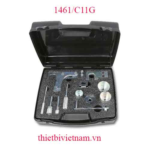 TIMING DEVICES FOR ENGINES BETA MODEL 1461/C11G