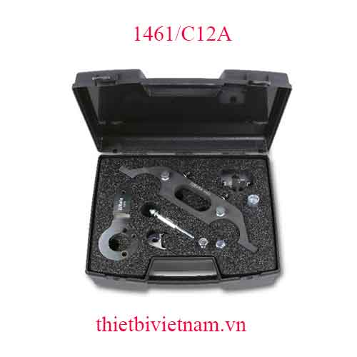 TIMING DEVICES FOR ENGINES BETA MODEL 1461/C12A