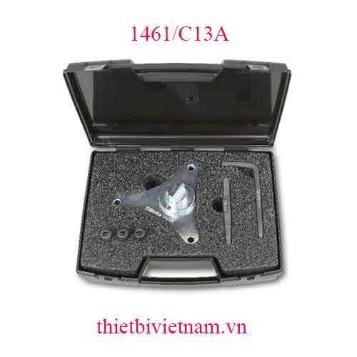 TIMING DEVICES FOR ENGINES BETA MODEL 1461/C13A