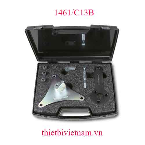 TIMING DEVICES FOR ENGINES BETA MODEL 1461/C13B