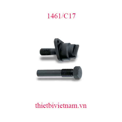 TIMING DEVICES FOR ENGINES BETA MODEL 1461/C17