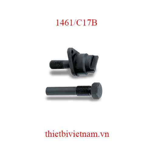 TIMING DEVICES FOR ENGINES BETA MODEL 1461/C17B