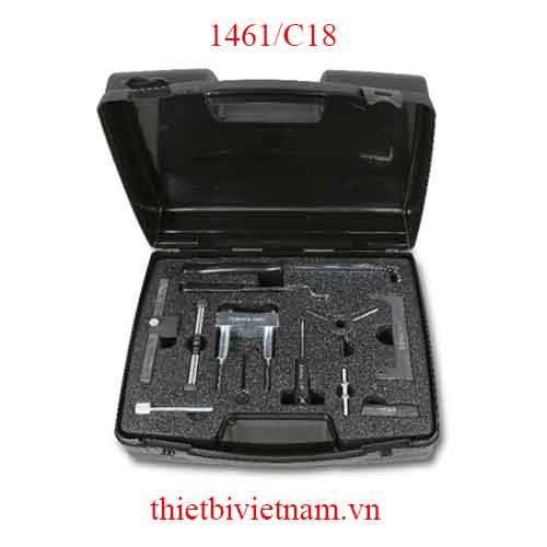 TIMING DEVICES FOR ENGINES BETA MODEL 1461/C18