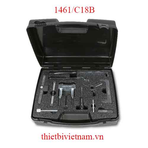 TIMING DEVICES FOR ENGINES BETA MODEL 1461/C18B