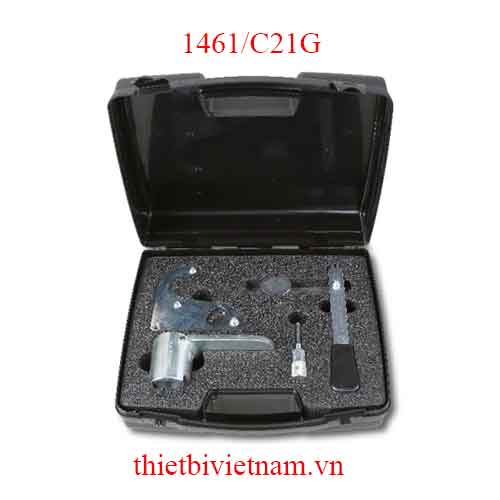 TIMING DEVICES FOR ENGINES BETA MODEL 1461/C21G