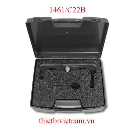 TIMING DEVICES FOR ENGINES BETA MODEL 1461/C22B