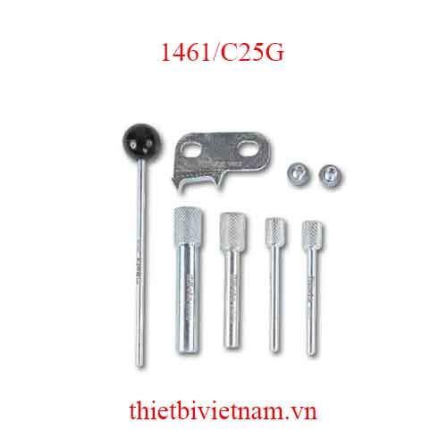 TIMING DEVICES FOR ENGINES BETA MODEL 1461/C25G
