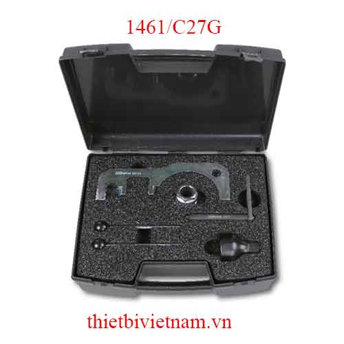 TIMING DEVICES FOR ENGINES BETA MODEL 1461/C27G