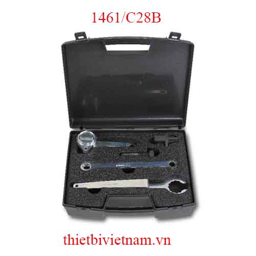 TIMING DEVICES FOR ENGINES BETA MODEL 1461/C28B